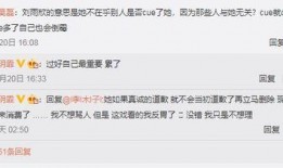汉中小三爆料案件最新,真相与争议交织的婚姻悬疑剧
