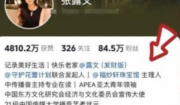 张露文最新爆料事件进展,事件进展揭秘，真相逐步浮出水面