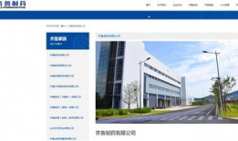 济南最新新闻爆料,揭秘城市热点事件背后的真相